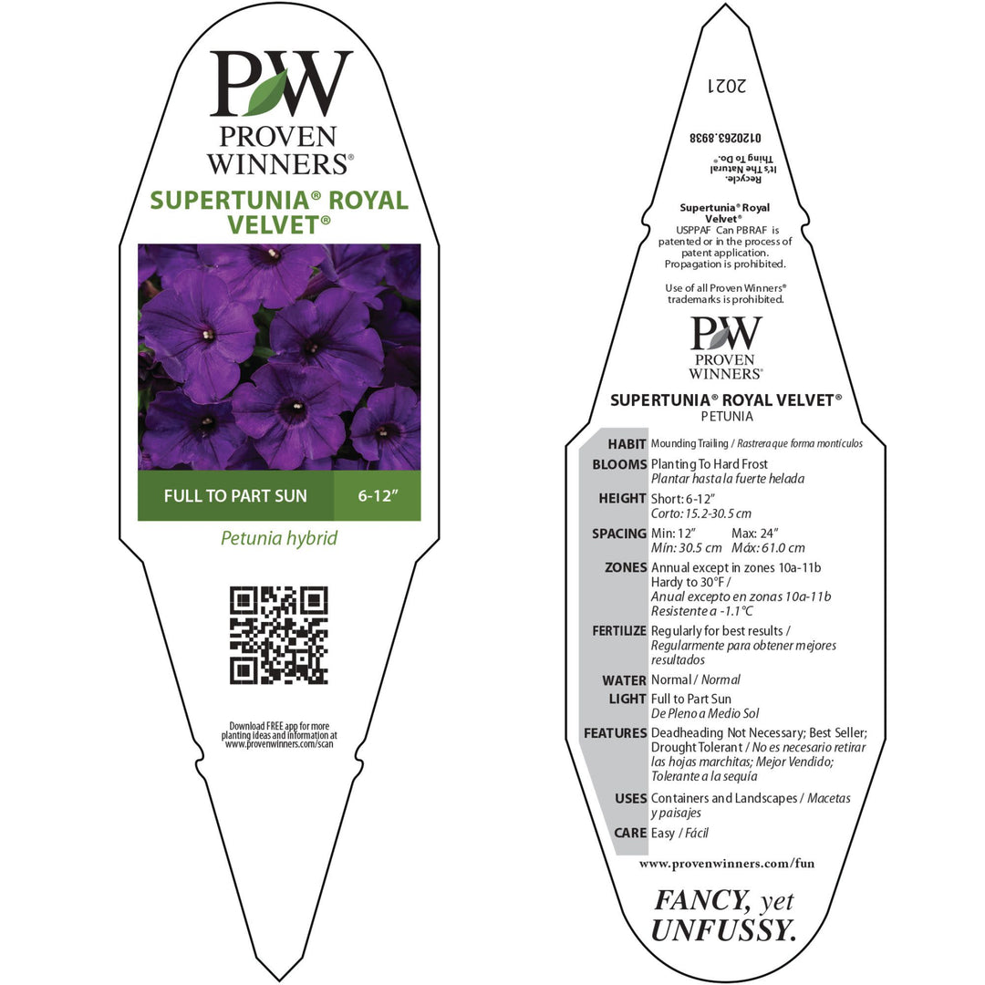 Petunia | Supertunia® Royal Velvet® | Proven Winners® Annuals