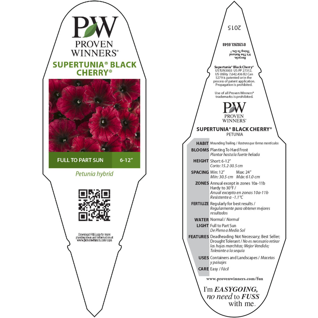 Petunia | Supertunia® Black Cherry® | Proven Winners® Annuals