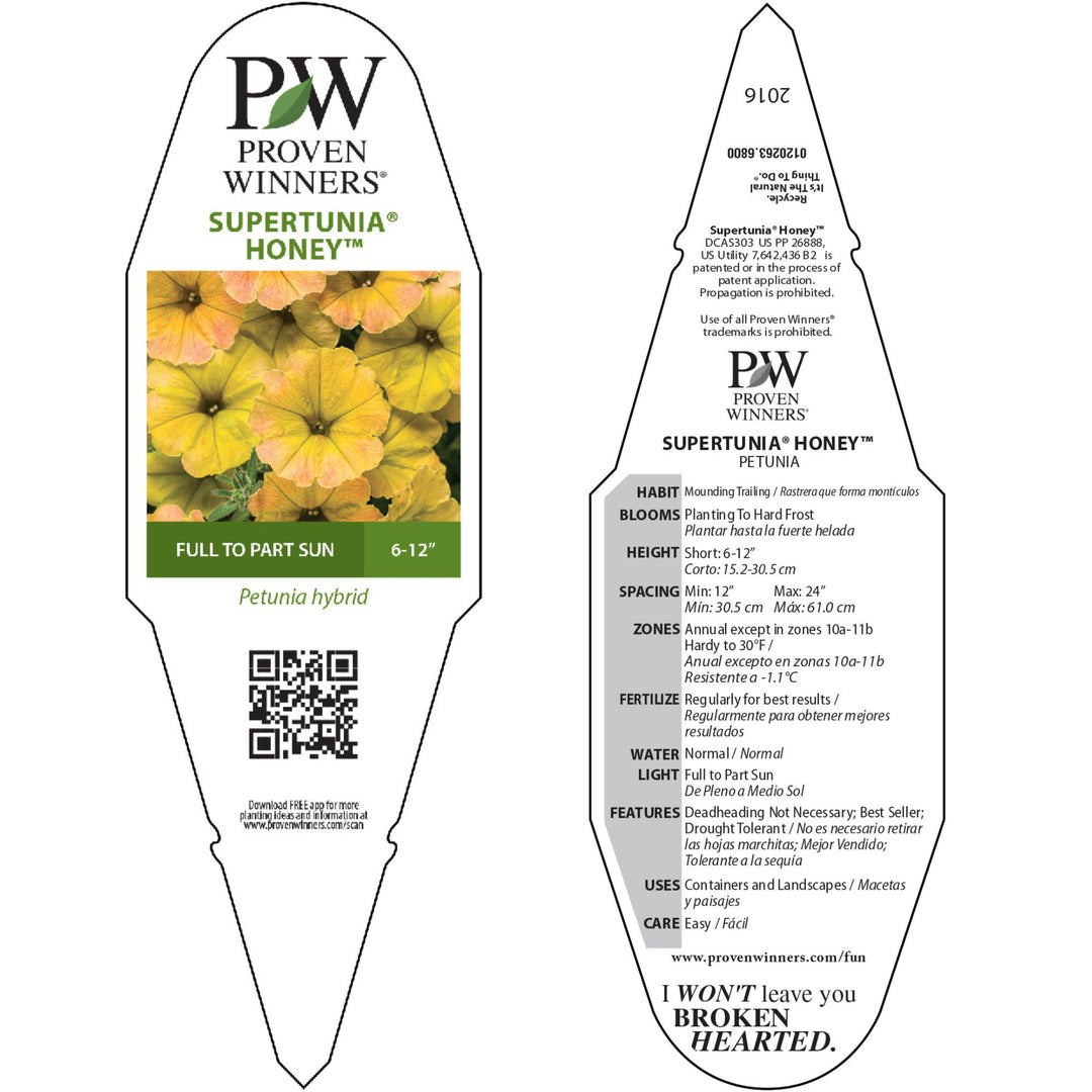 パワーストーン★彡 Petunia | Supertunia® Honey™ | Proven Winners® Annuals – Proven