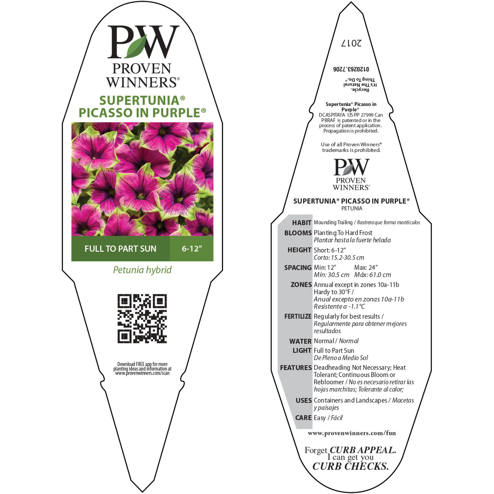 Petunia | Supertunia® Picasso in Purple® | Proven Winners® Annuals