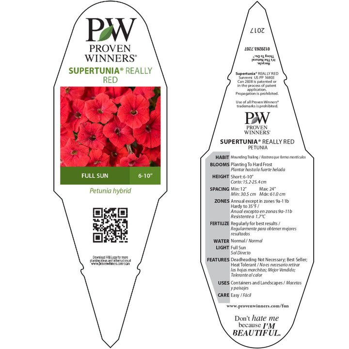 Petunia | Supertunia® Really Red | Proven Winners® Annuals