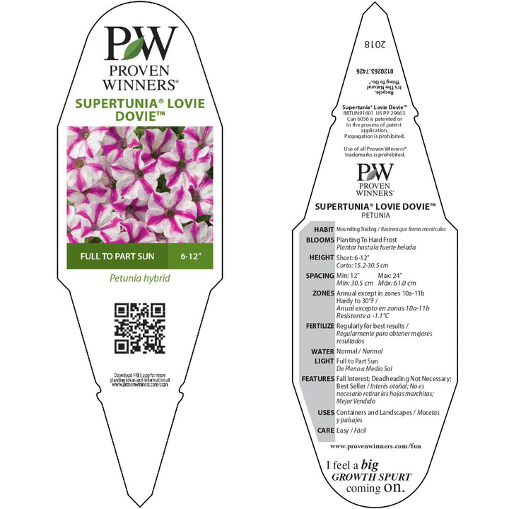 Petunia | Supertunia® Lovie Dovie™ | Proven Winners® Annuals