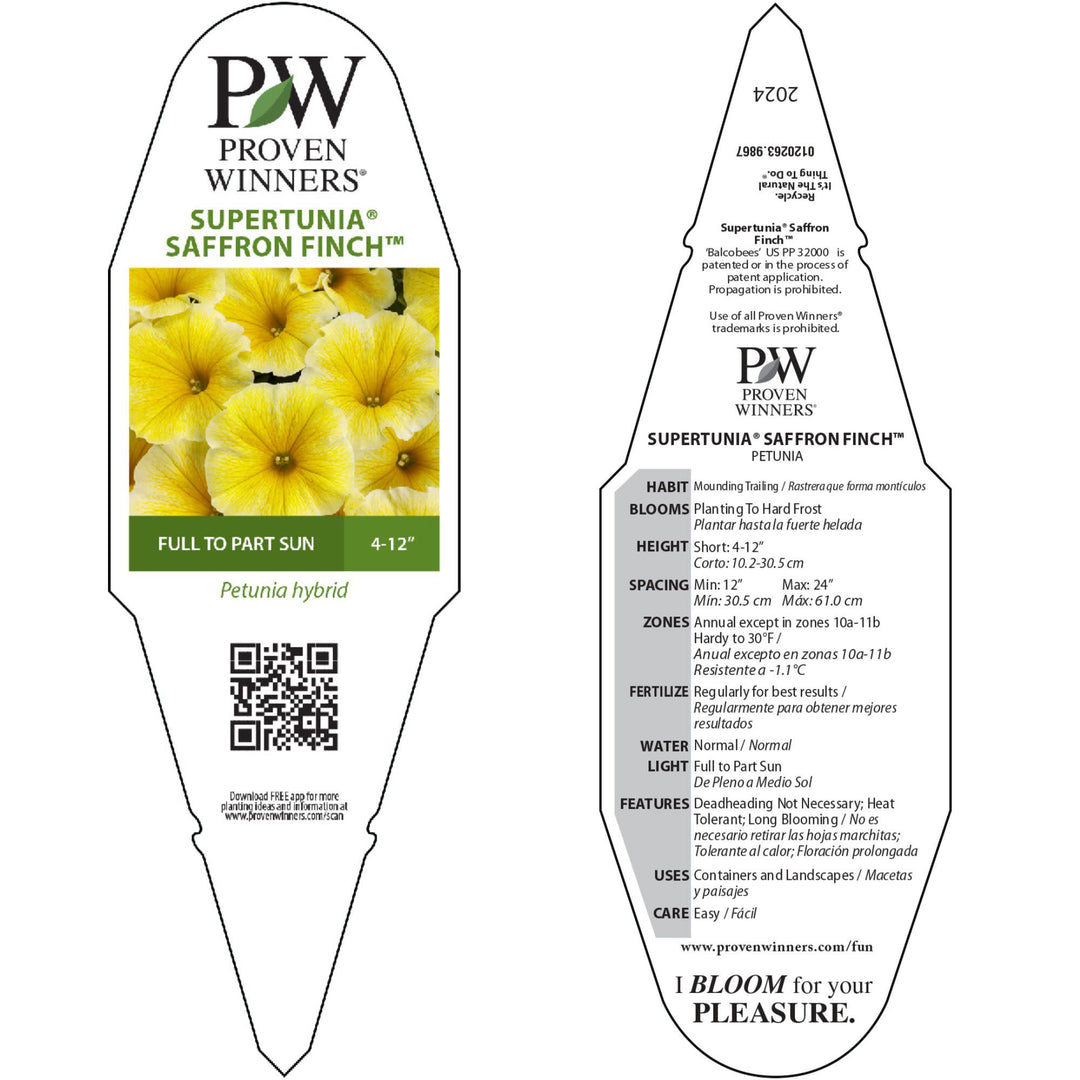 Petunia | Supertunia® Saffron Finch™ | Proven Winners® Annuals