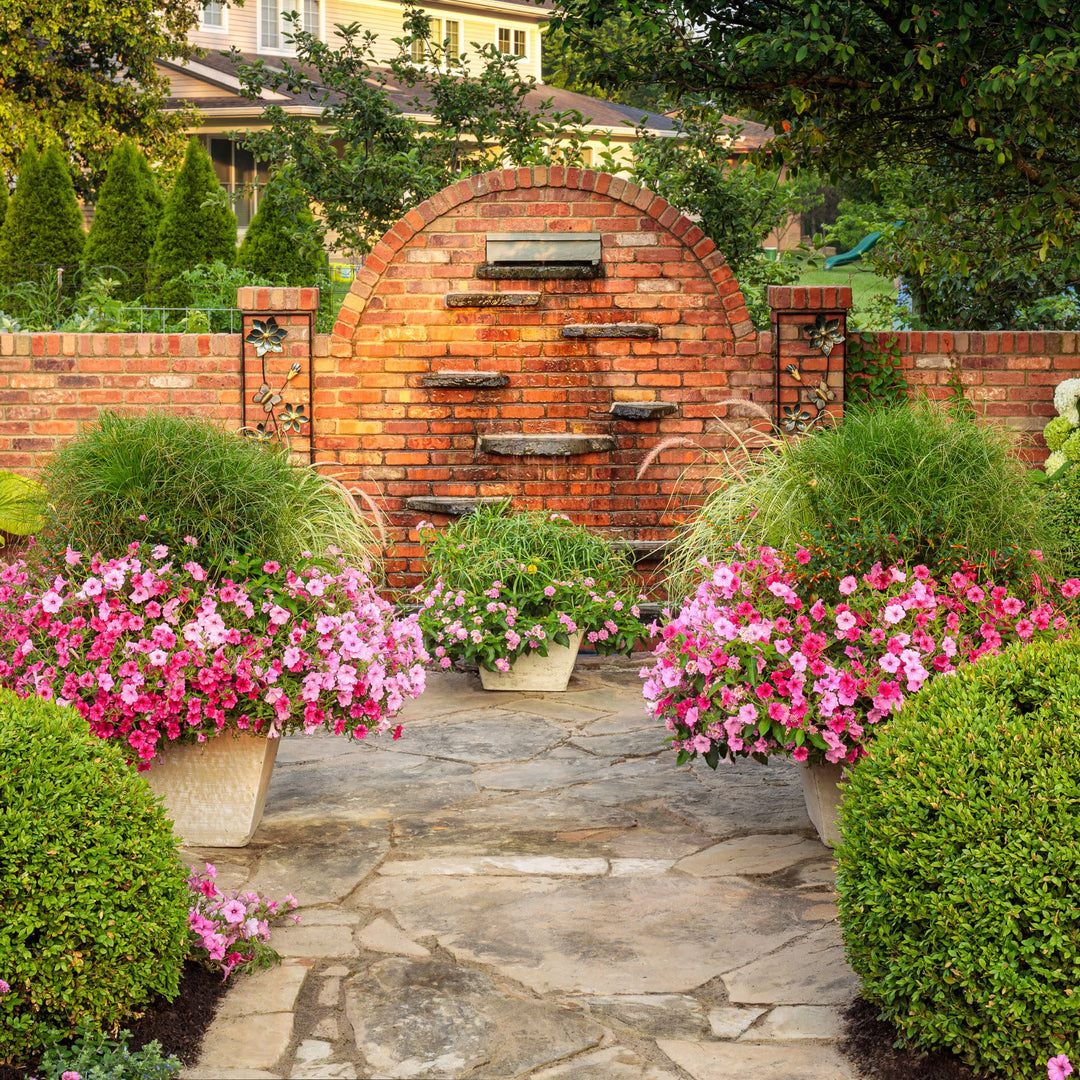 Supertunia Vista® Bubblegum® II Petunia