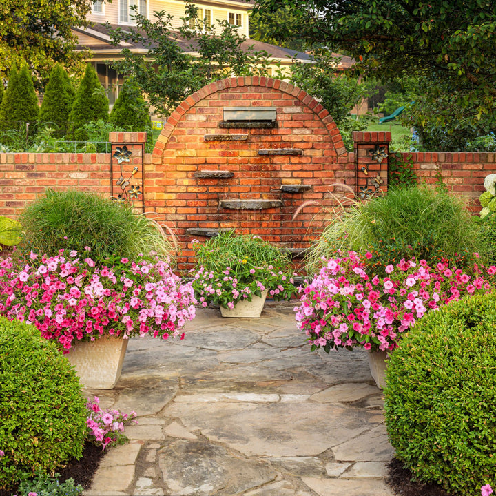 Supertunia Vista® Bubblegum® II Petunia