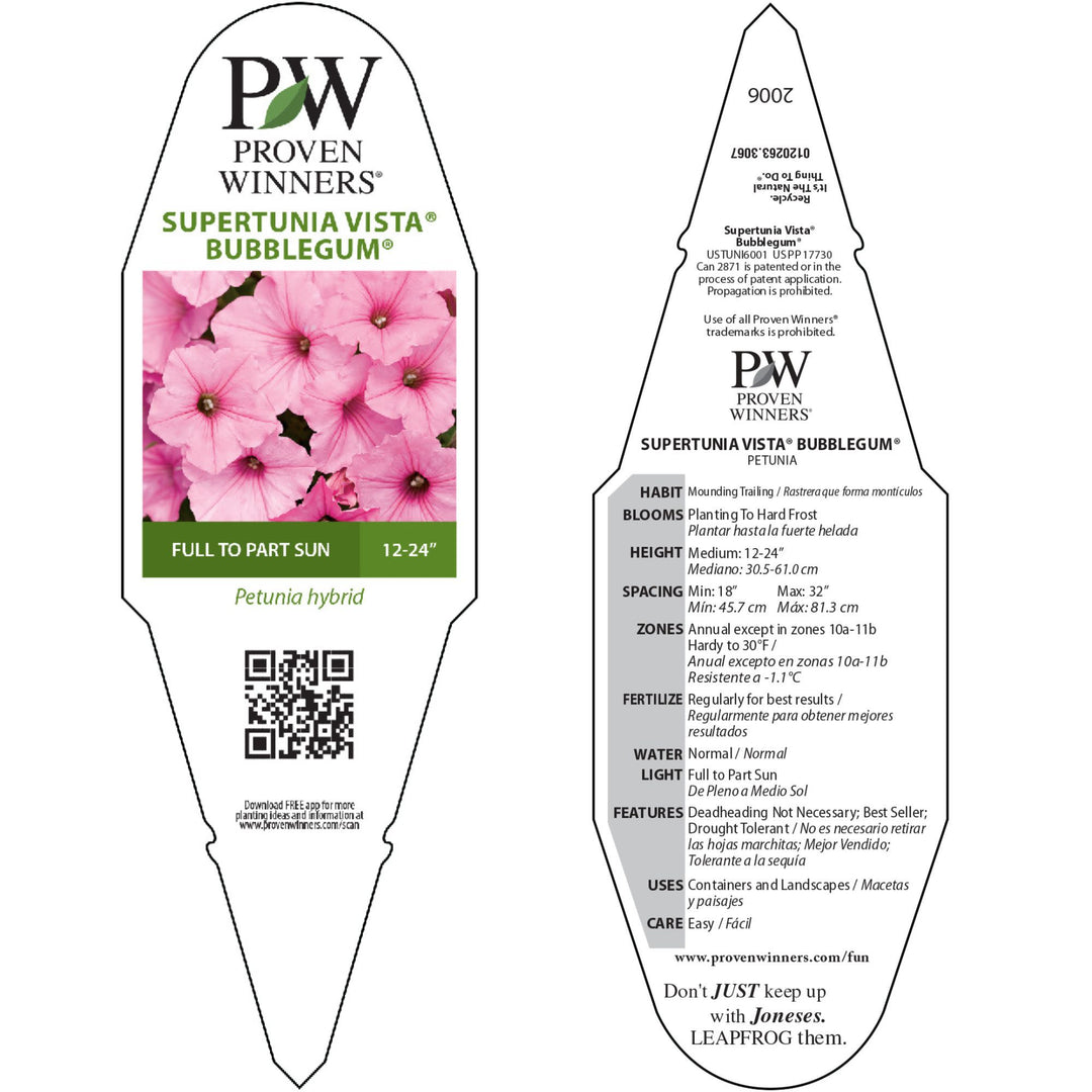 エンハーモニックタヴァーン Petunia | Supertunia Vista® Bubblegum® | Proven Winners® Annuals