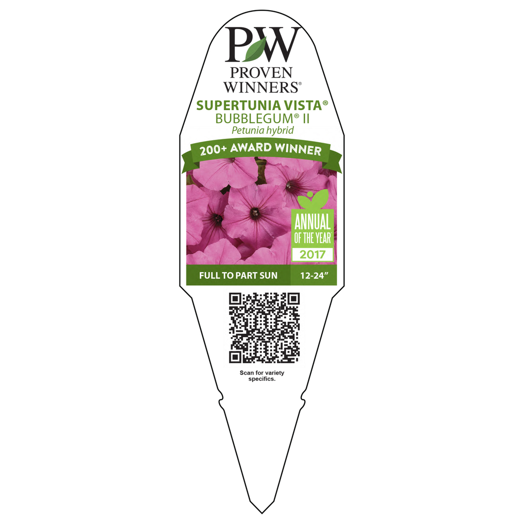 Petunia | Supertunia Vista® Bubblegum® II | Proven Winners