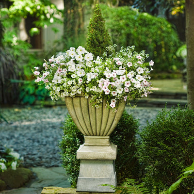 Supertunia Vista Silverberry Petunia in use.