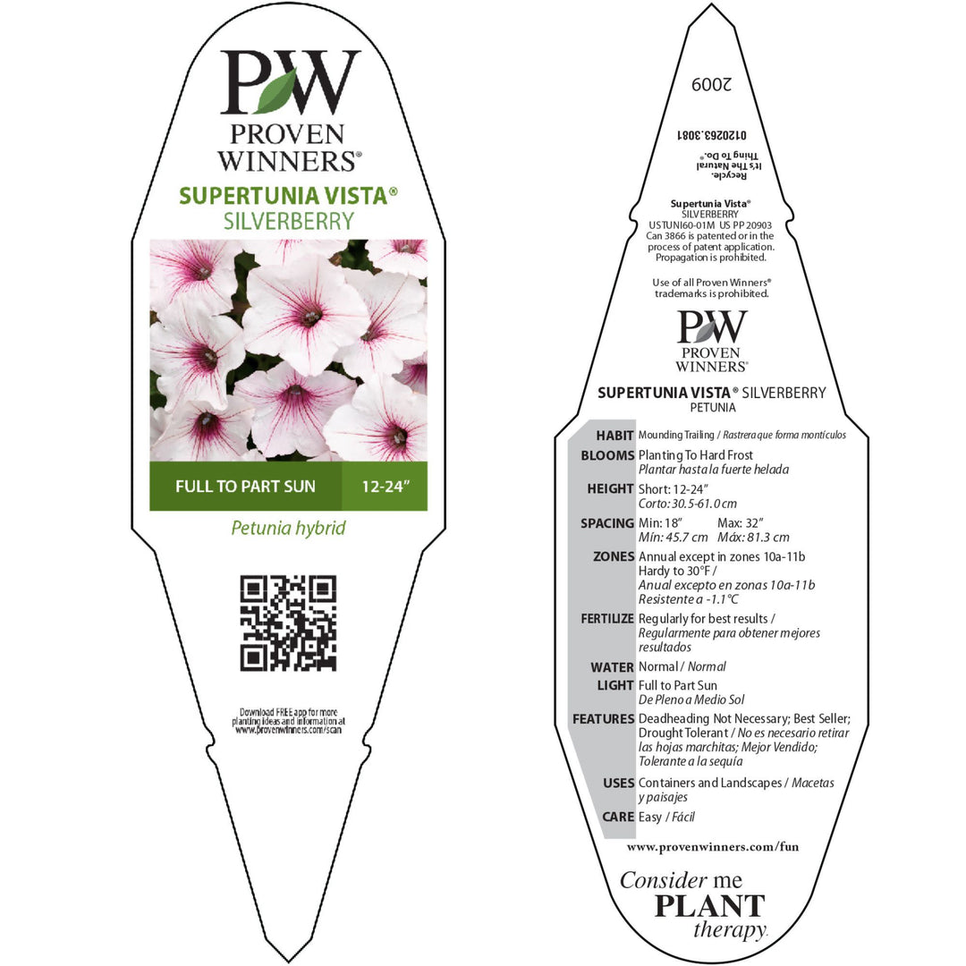 Petunia | Supertunia Vista® Silverberry | Proven Winners® Annuals