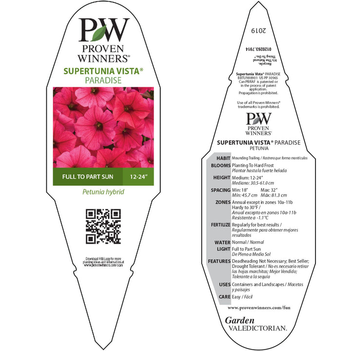 花 udontondon Petunia | Supertunia Vista® Paradise | Proven Winners® Annuals