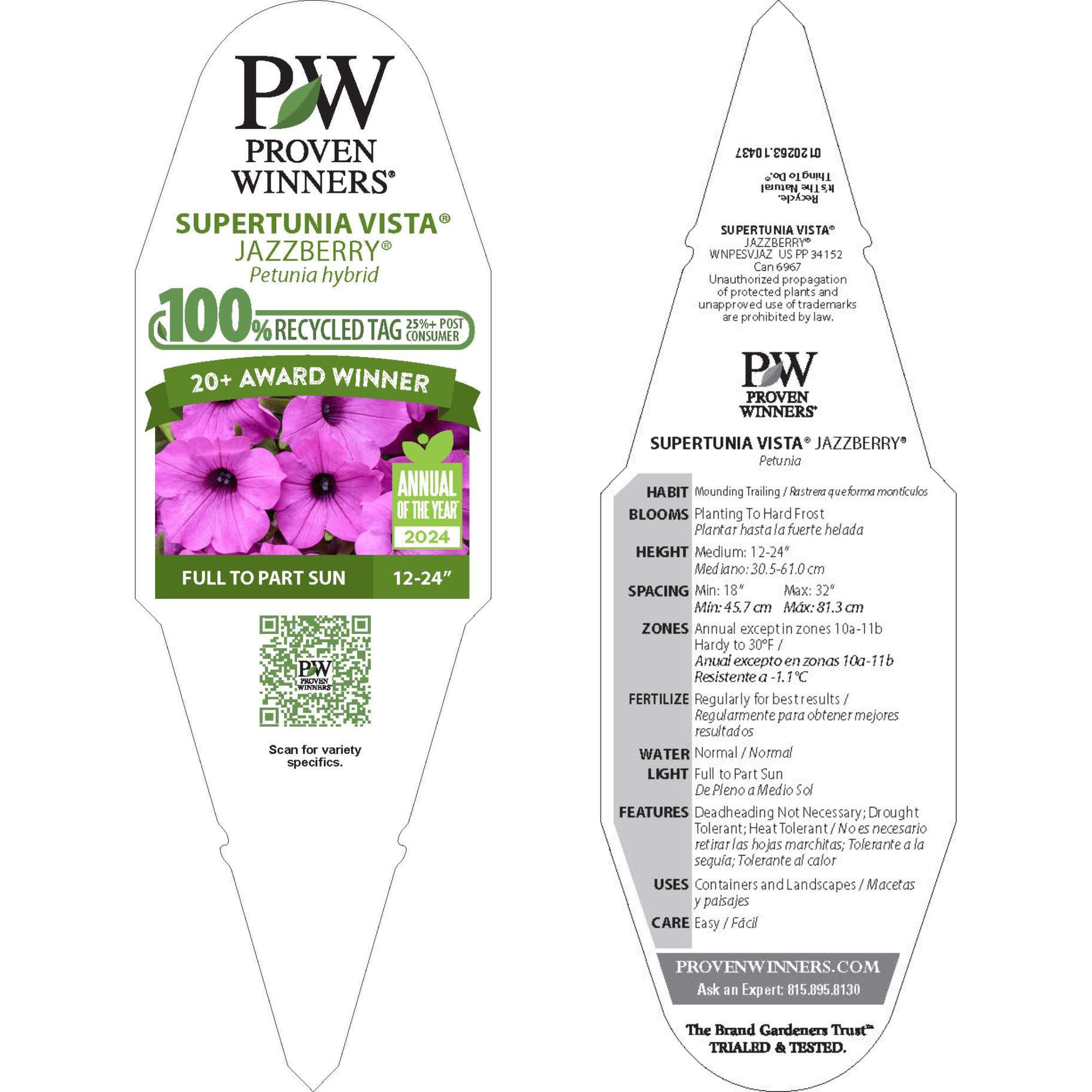 Petunia | Royale Supertunia Vista® Jazzberry® | Proven Winners