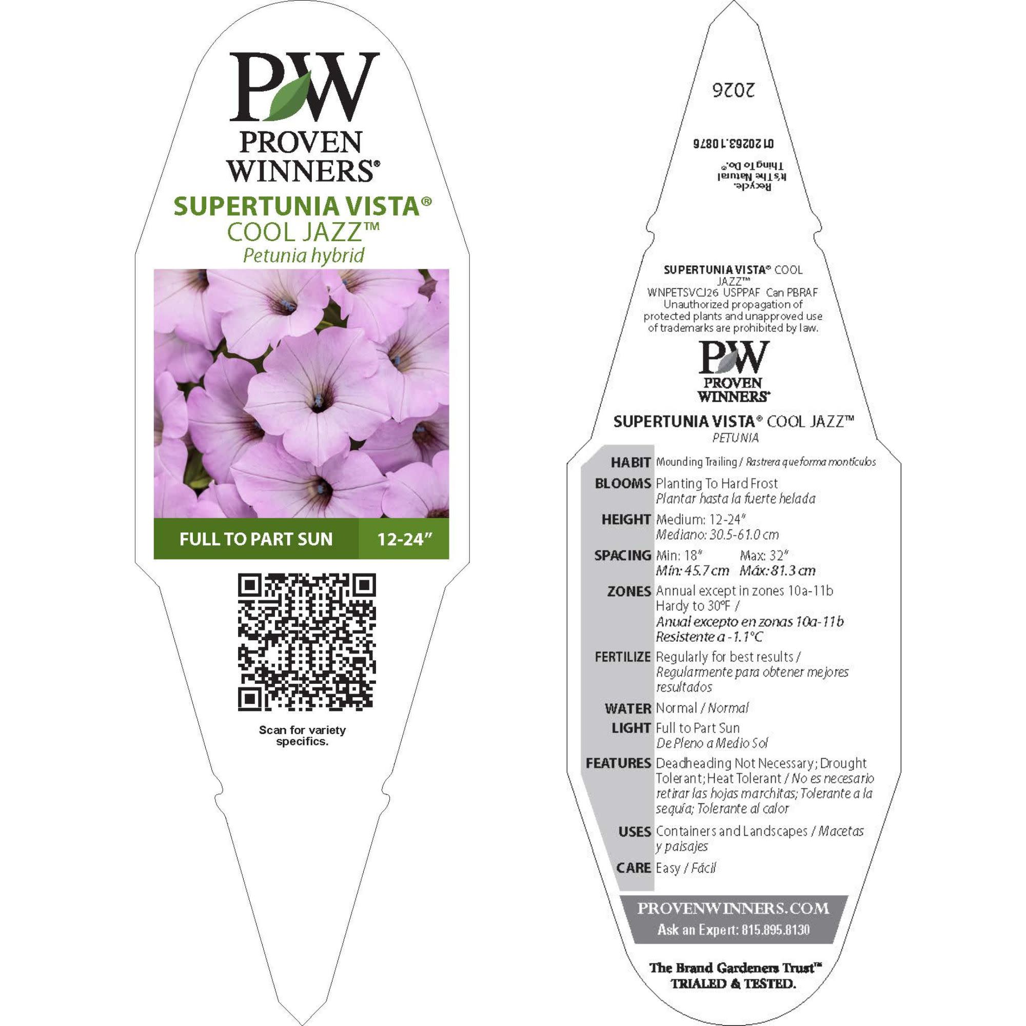 Small Package / 紫陽花＜CD＞　08250521H01T Petunia | Supertunia Vista® Cool Jazz™ | Proven Winners® Annuals
