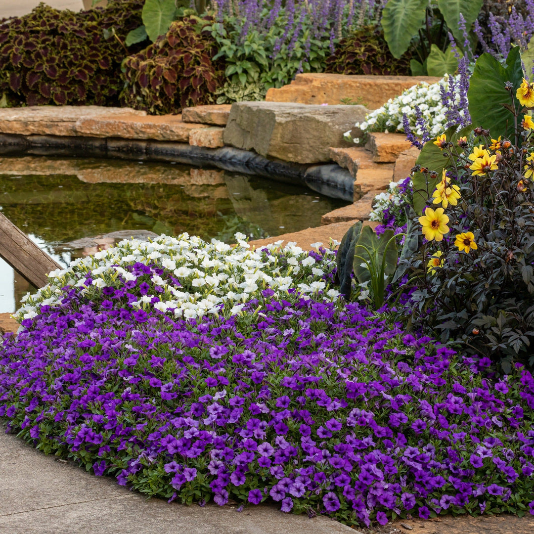 SUPPRW611-Lifestyle_1080x.jpg?