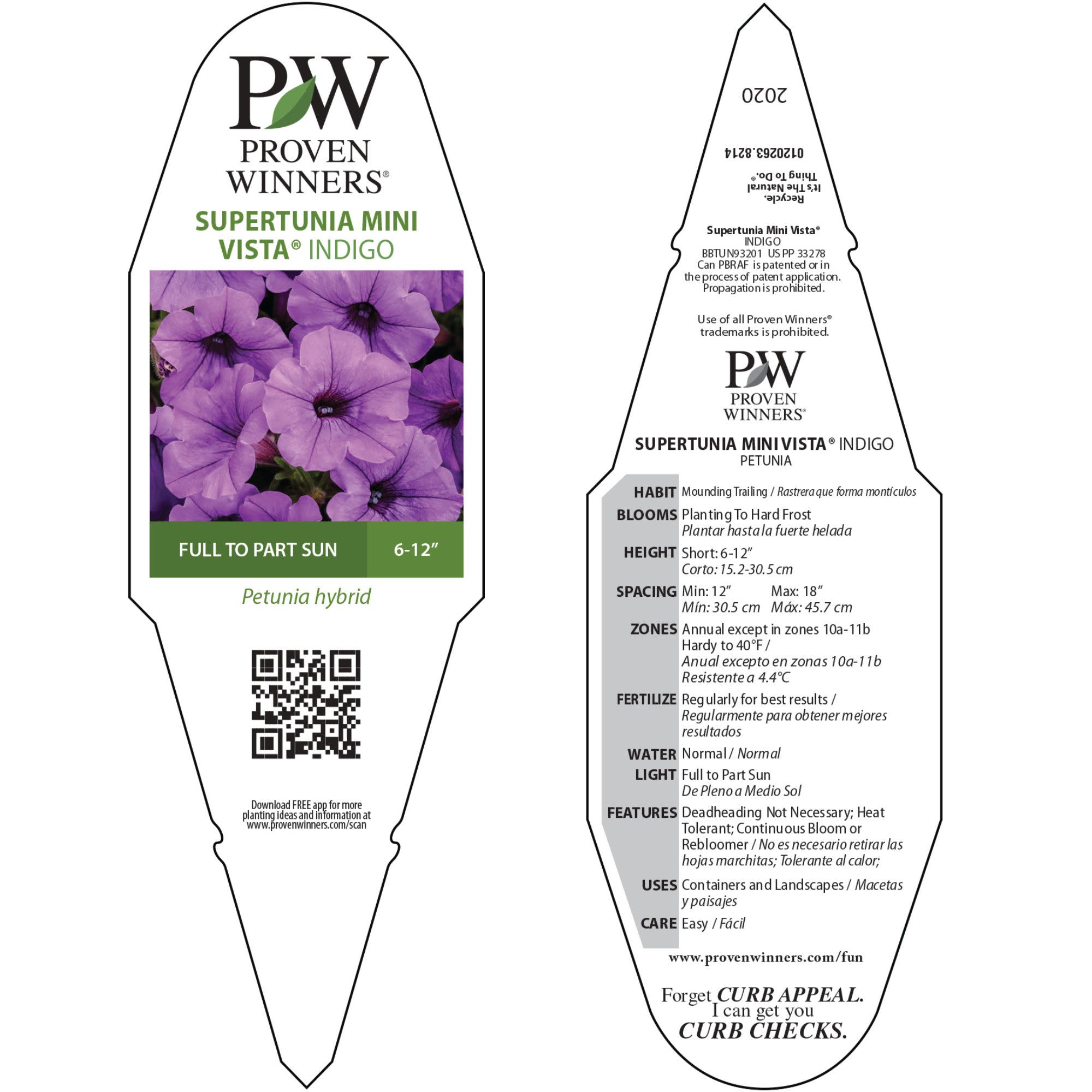 Petunia | Supertunia Mini Vista® Indigo | Proven Winners® Annuals