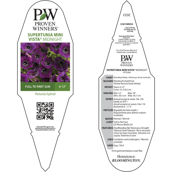 Petunia | Supertunia Mini Vista® Midnight | Proven Winners