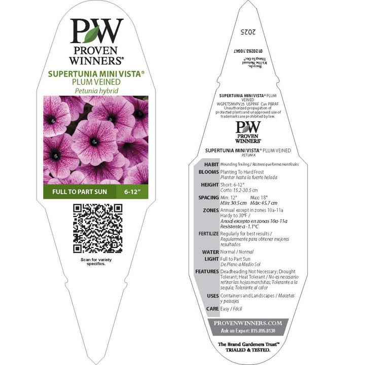 Petunia | Supertunia Mini Vista® Plum Veined | Proven Winners