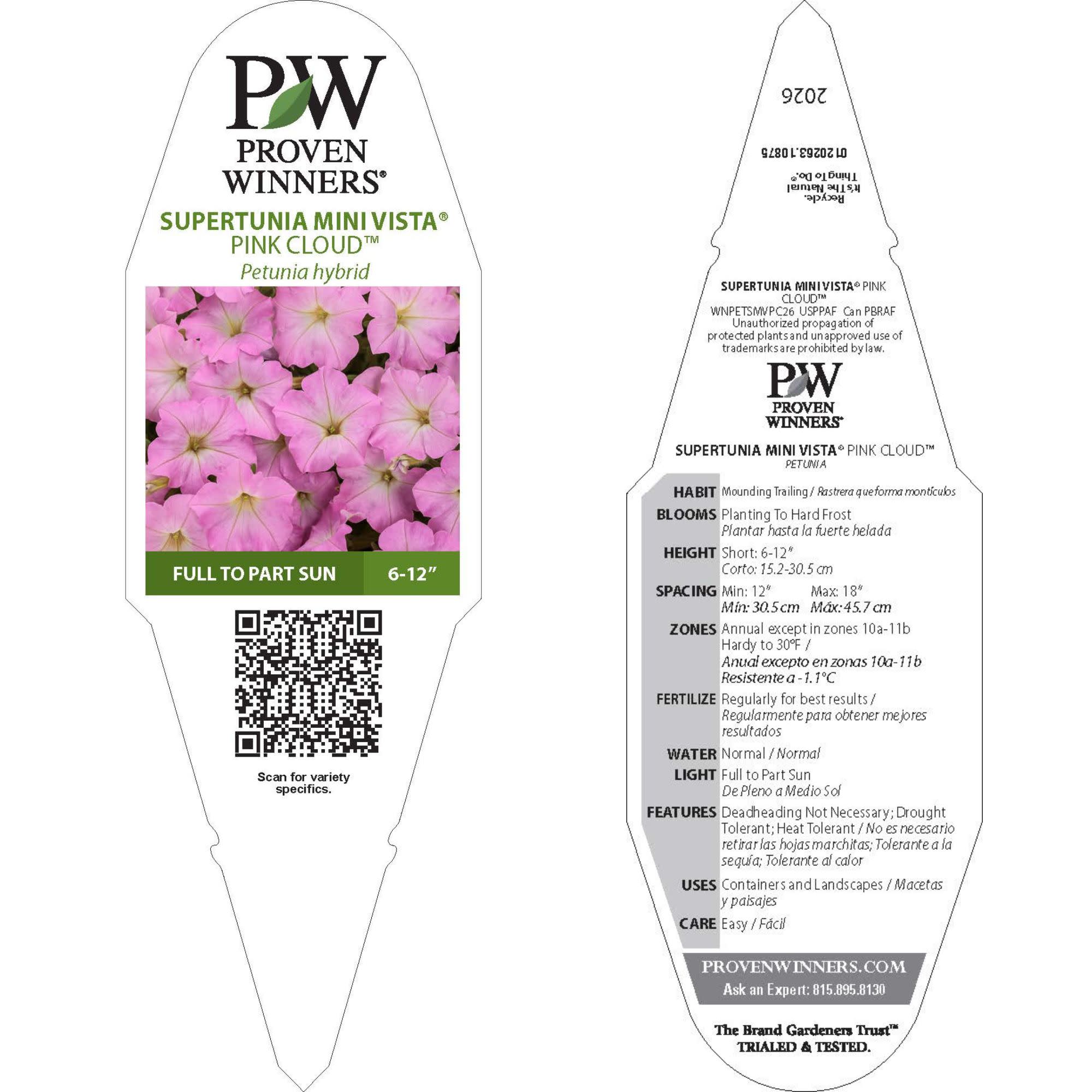 Supertunia | Supertunia Mini Vista® Pink Cloud™ | Proven Winners