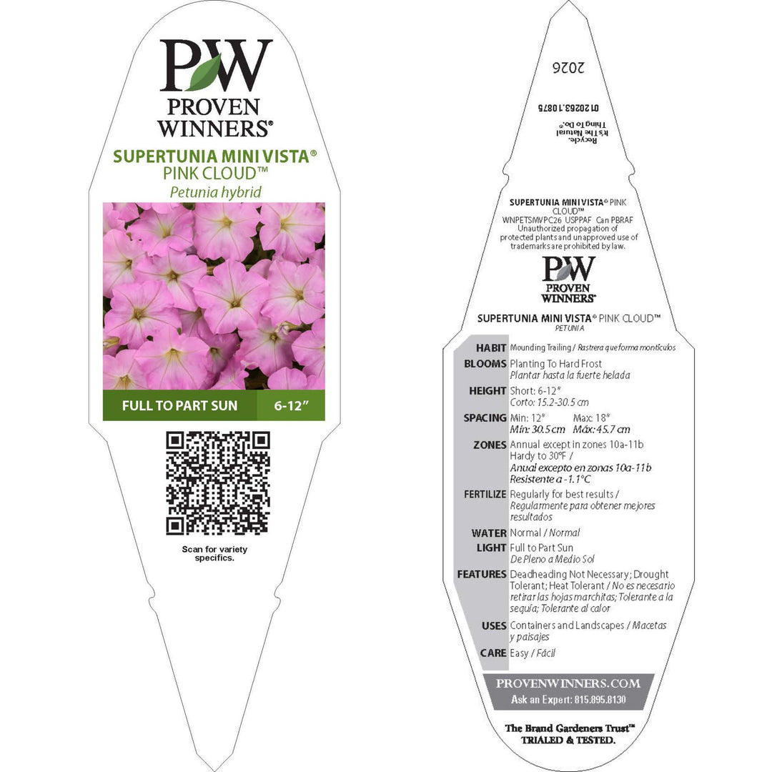 Supertunia Mini Vista® Pink Cloud Petunia | Proven Winners® New Variety 2026