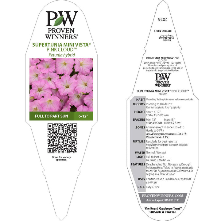 Supertunia Mini Vista® Pink Cloud Petunia | Proven Winners® New Variety 2026
