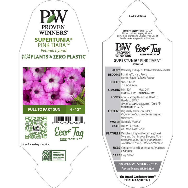 Petunia | Supertunia® Pink Tiara™ | Proven Winners® Annuals