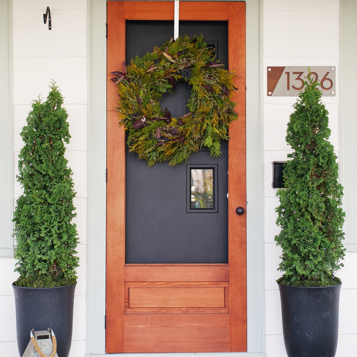 Sting Sting Arborvitae in use.