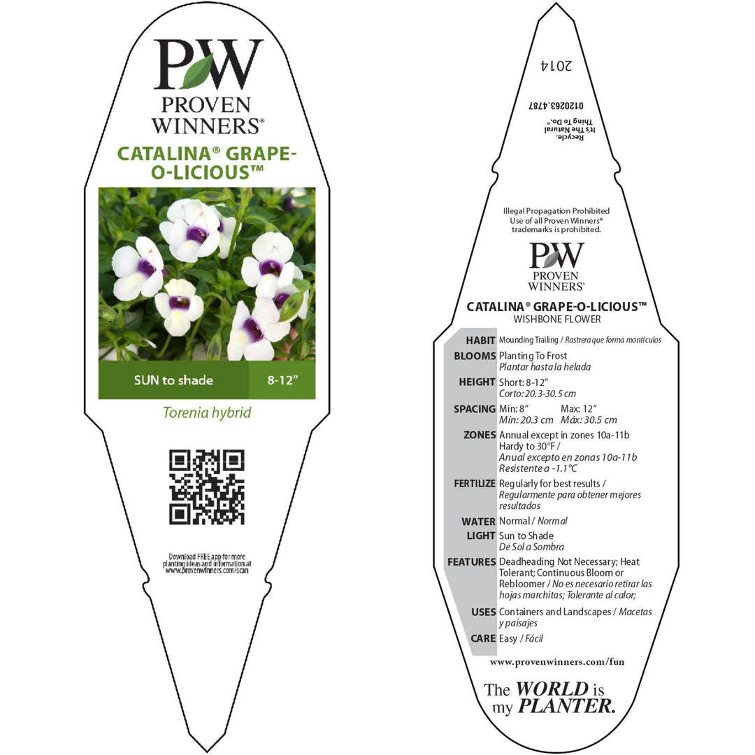 Wishbone Flower | Catalina® Grape-o-licious™ | Proven Winners