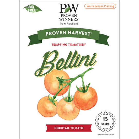 Seeds Tempting Tomatoes® Bellini Cocktail Tomato (Solanum lycopersicum)
