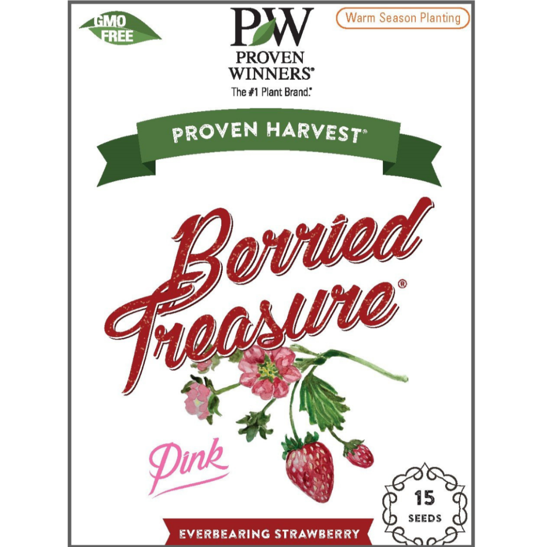 Pink Strawberry Seeds Proven Winners® Seeds Online Proven Winners