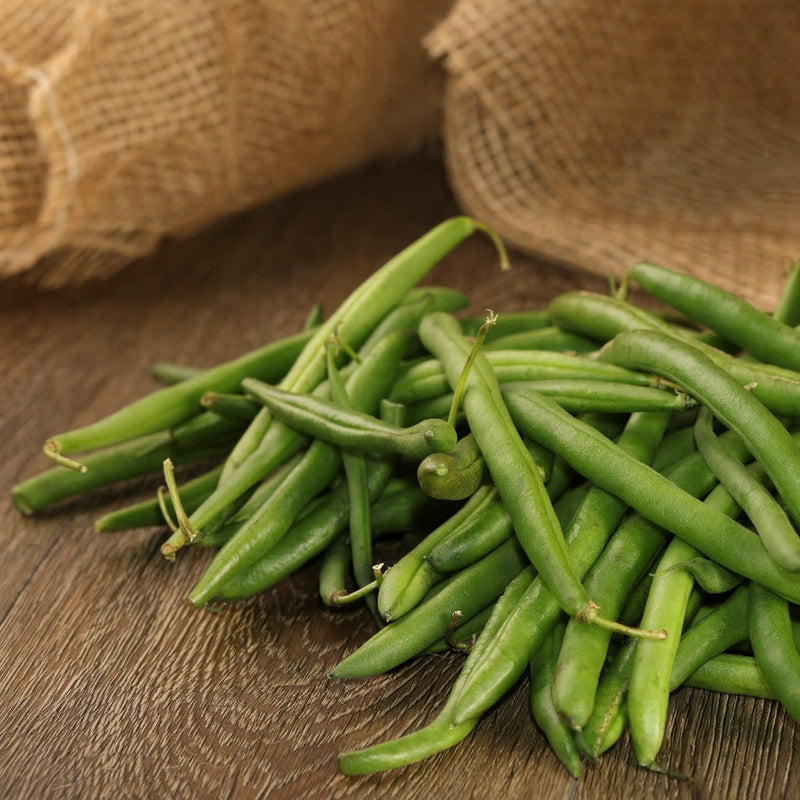 Proven Selections Blue Lake Green Beans in use.