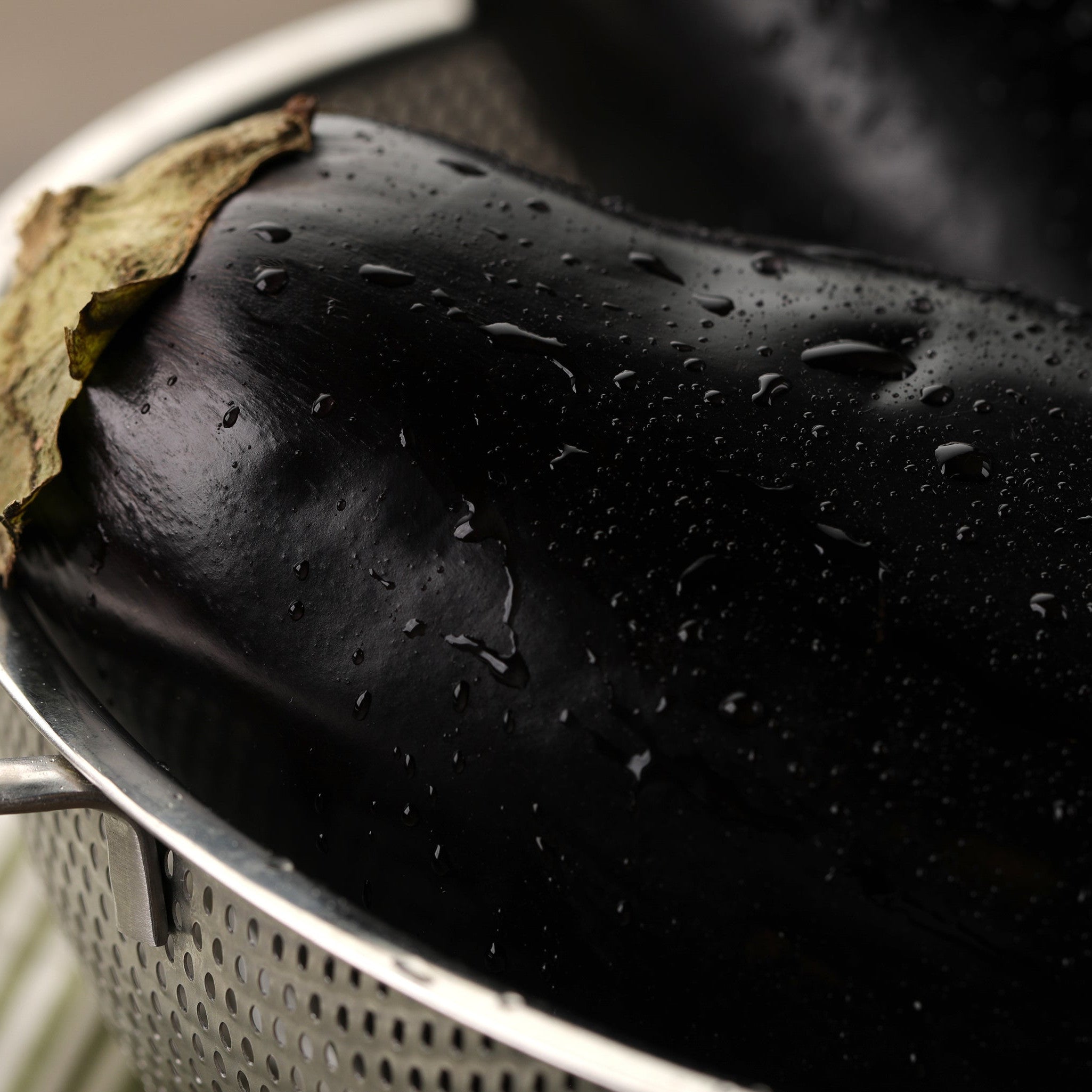 Eggplant | Proven Selections® | Proven Winners® Plants – Proven