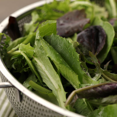 Proven Selections Mixed Lettuce in use.