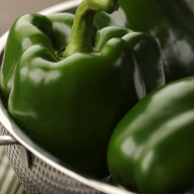 Proven Selections Bell Boy Bell Pepper in use.