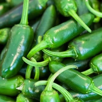 Proven Selections® Mucho Nacho Jalapeno (Capsicum annuum)