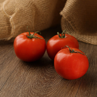 Proven Selections Beefsteak Heirloom Tomato in use.