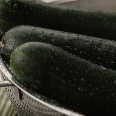 Proven Selections Black Beauty Black Beauty Zucchini in use.