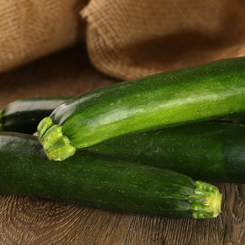 Proven Selections Black Beauty Black Beauty Zucchini in use.