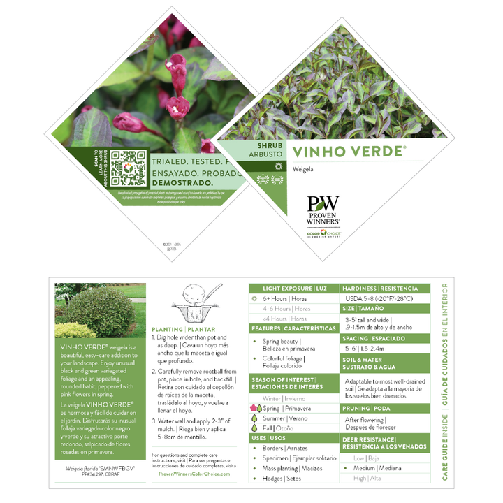 Vinho Verde® Weigela (florida)