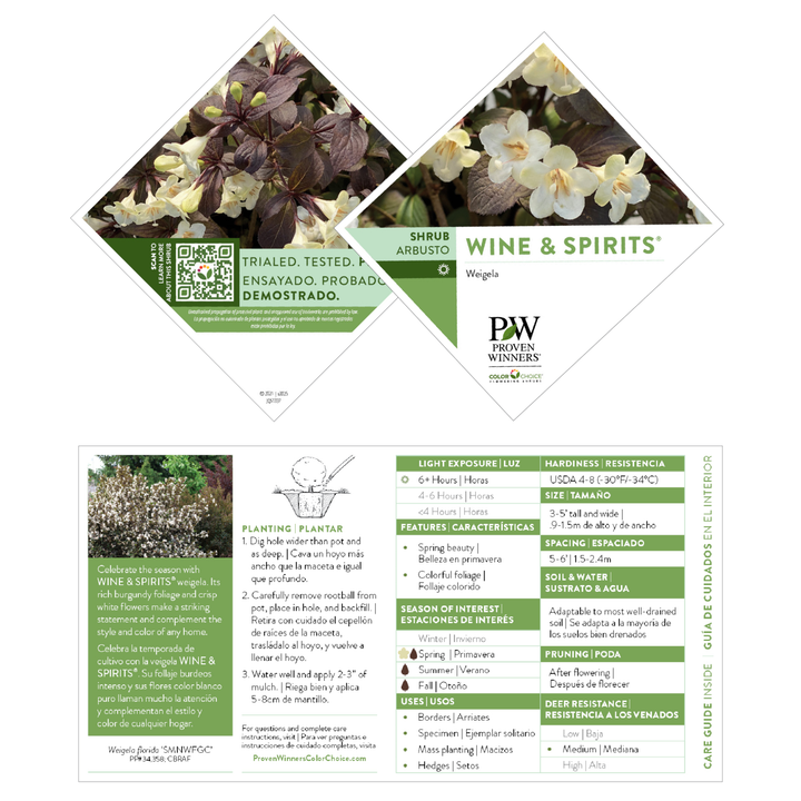 Wine &amp; Spirits® Weigela (florida)