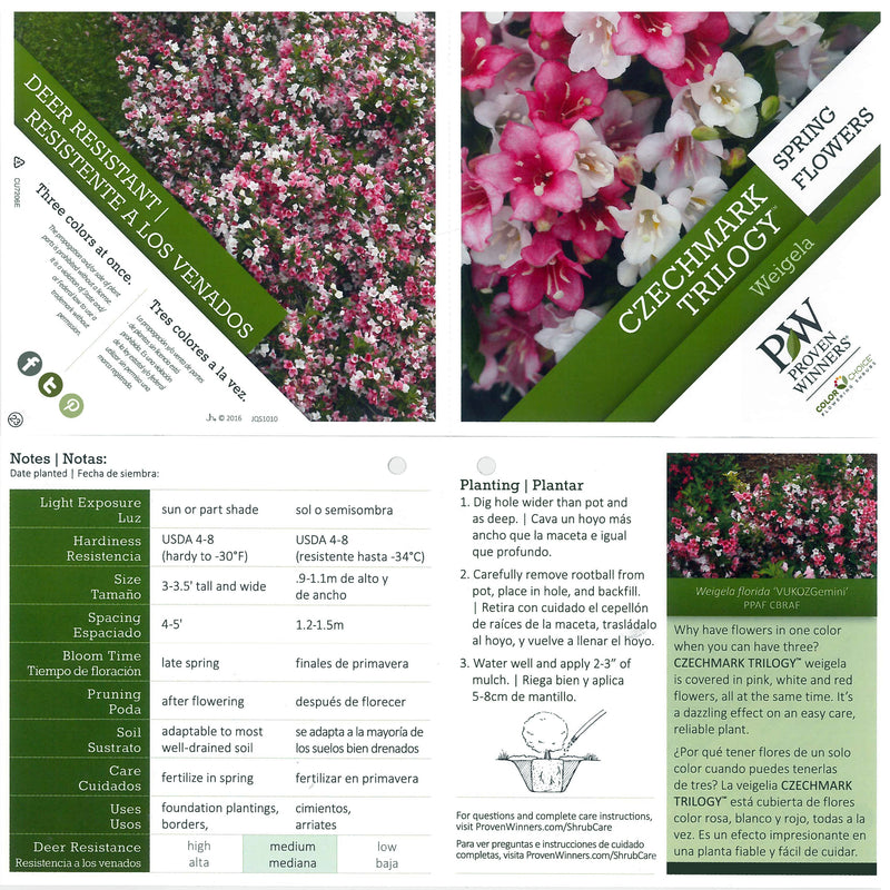 Czechmark Trilogy Weigela detailed plant packaging.