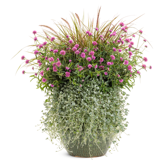 Whispers in the Wind