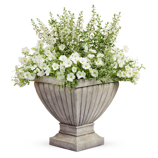 Wonderfully White