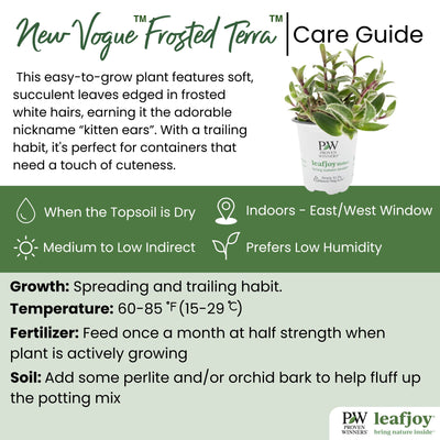 leafjoy littles™ New Vogue™ Frosted Terra™ (Cyanotis commelinaceae) - New Proven Winners® Product 2024