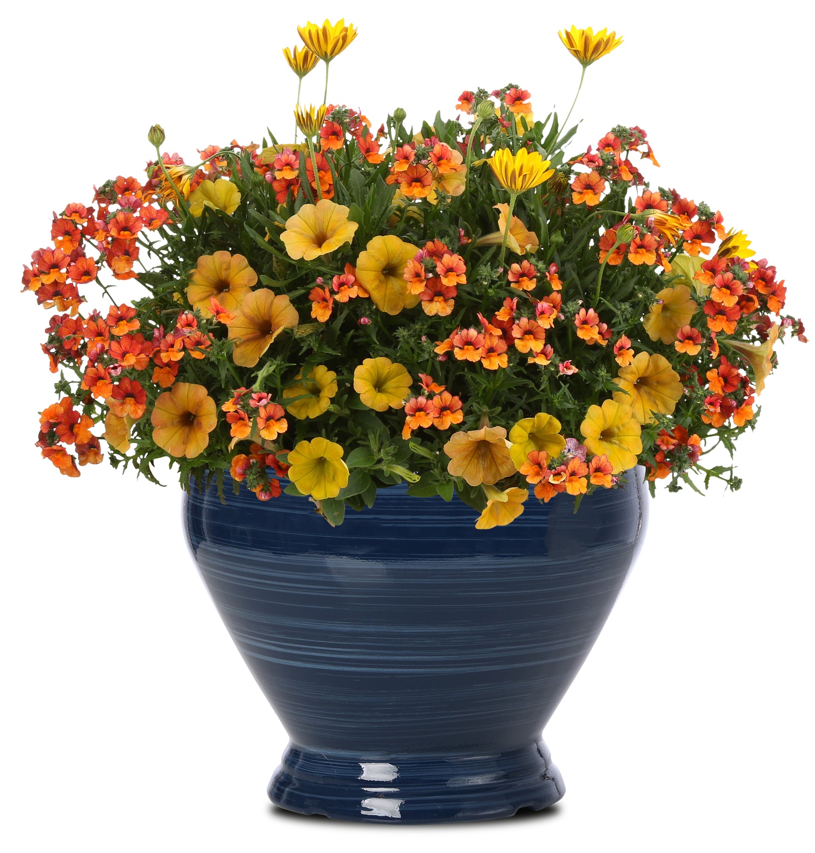 A colorful potted plant combination of orange, yellow, and red flowers in a blue container.