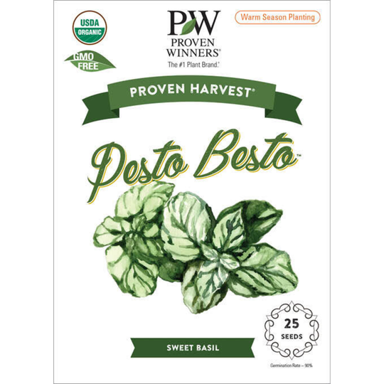 Seeds Pesto Besto™ Sweet Italian Basil (Ocimum)