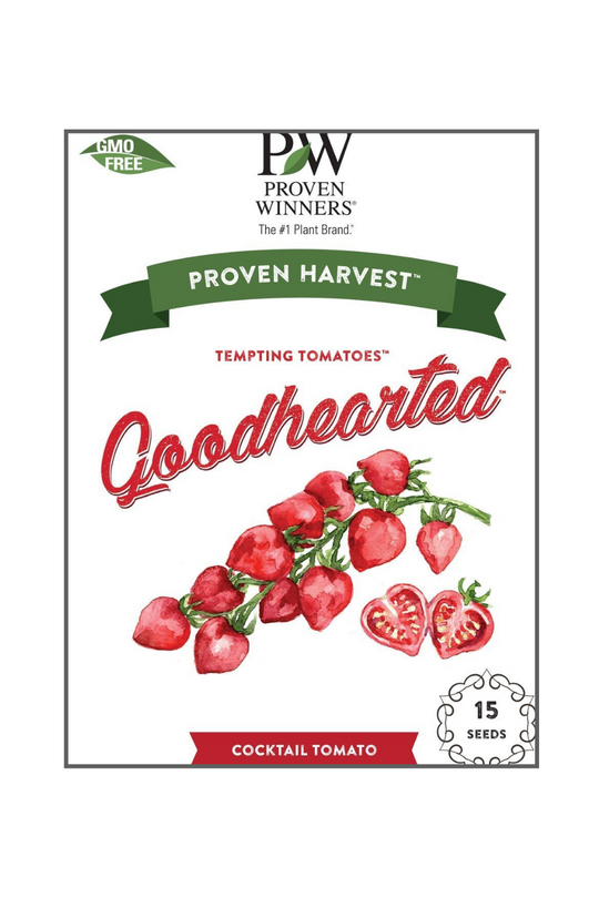 Seeds Tempting Tomatoes™ 'Goodhearted' (Lycopersicon)
