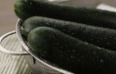 Proven Selections Black Beauty Zucchini