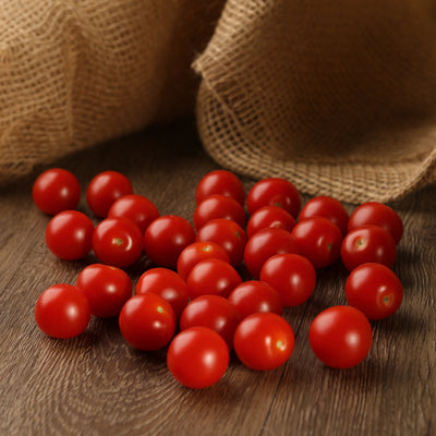 Proven Winners® Garden to Table Plants|Cherry Tomato - Homegrown 5