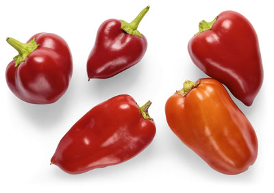 Seeds Fire Away™ 'Hot and Heavy' Hot Pepper (Capsicum)
