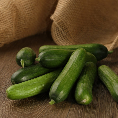 Proven Winners® Garden to Table Plants|Cucumber - Muncher 1