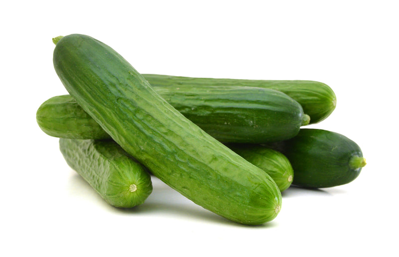 Proven Selections® Muncher (Cucumber)